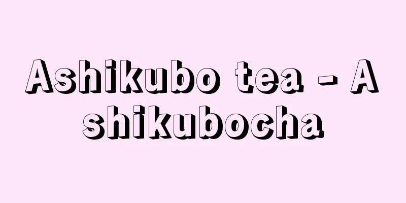 Ashikubo tea - Ashikubocha
