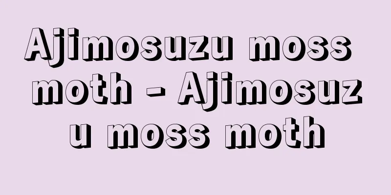 Ajimosuzu moss moth - Ajimosuzu moss moth