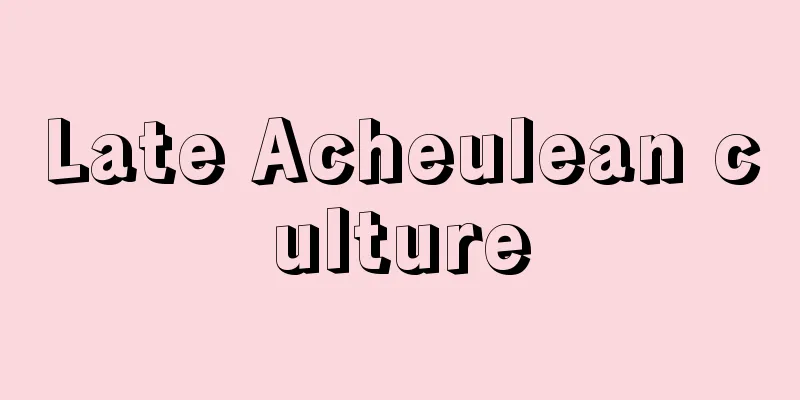 Late Acheulean culture