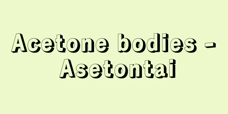 Acetone bodies - Asetontai