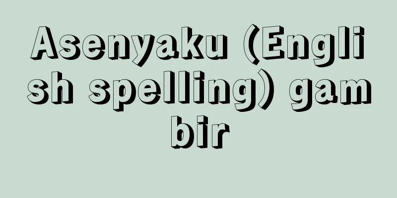 Asenyaku (English spelling) gambir