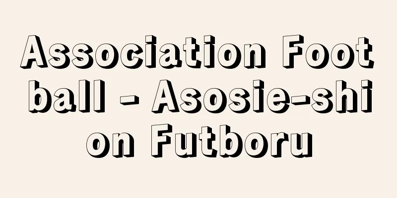 Association Football - Asosie-shion Futboru