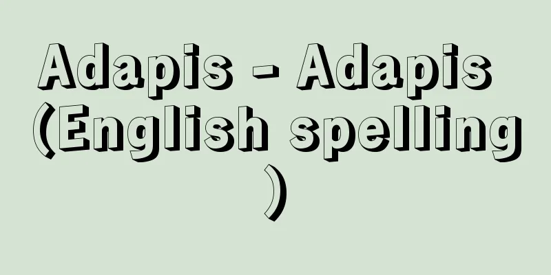 Adapis - Adapis (English spelling)