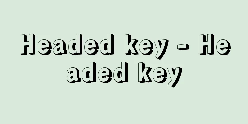 Headed key - Headed key