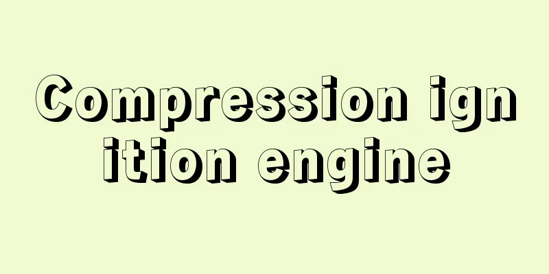 Compression ignition engine