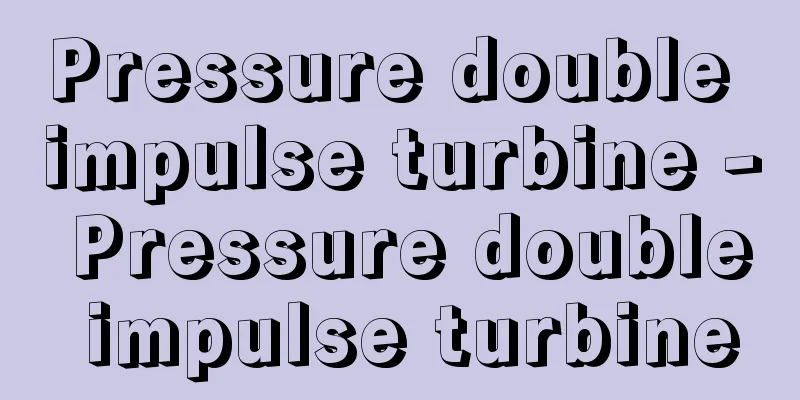 Pressure double impulse turbine - Pressure double impulse turbine