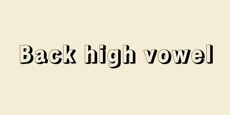 Back high vowel