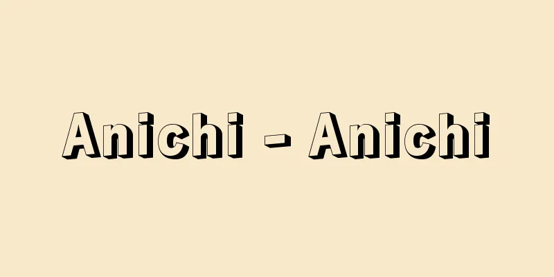 Anichi - Anichi