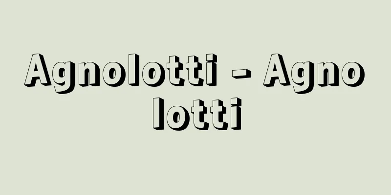 Agnolotti - Agnolotti