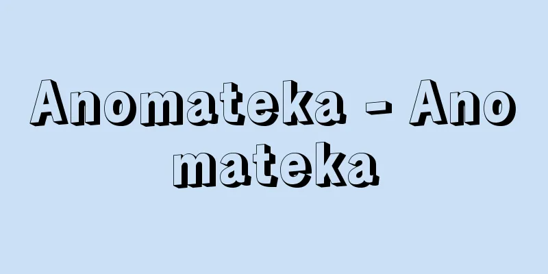 Anomateka - Anomateka