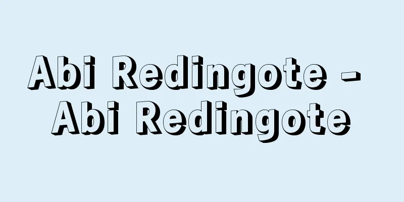 Abi Redingote - Abi Redingote