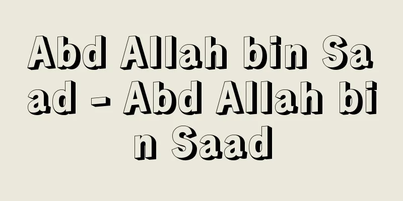 Abd Allah bin Saad - Abd Allah bin Saad