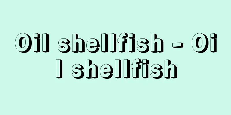 Oil shellfish - Oil shellfish