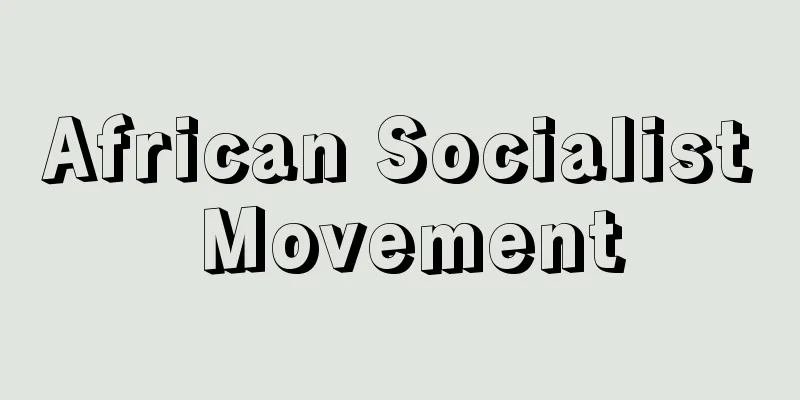 African Socialist Movement
