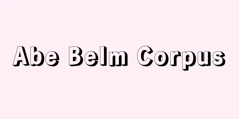 Abe Belm Corpus