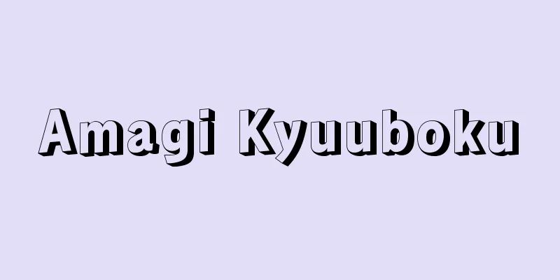 Amagi Kyuuboku