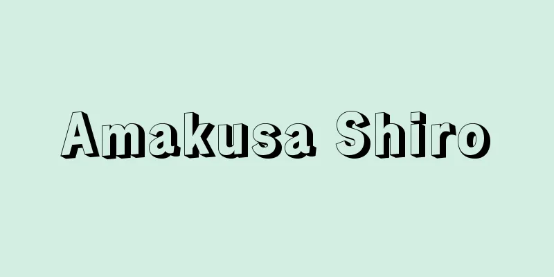 Amakusa Shiro