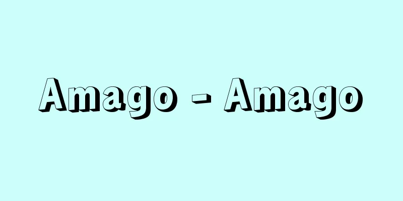 Amago - Amago