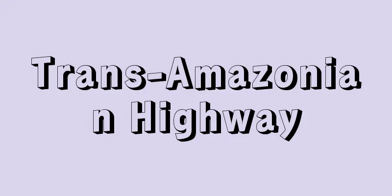 Trans-Amazonian Highway