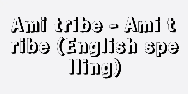 Ami tribe - Ami tribe (English spelling)