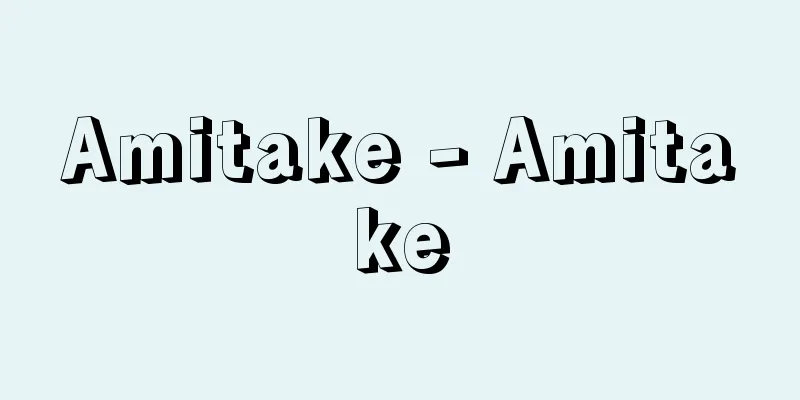 Amitake - Amitake