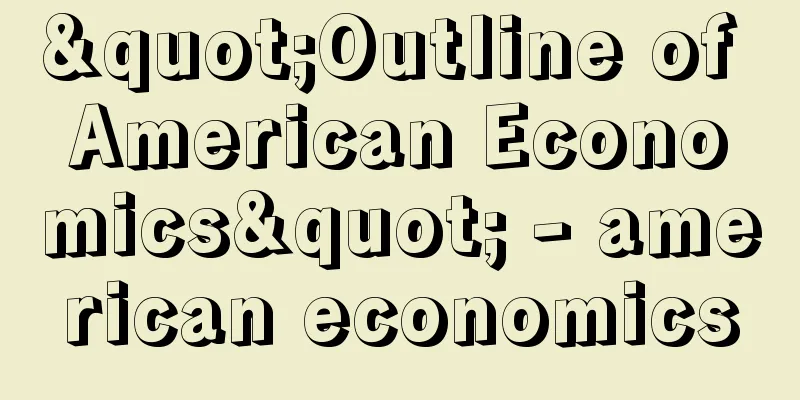 "Outline of American Economics" - american economics