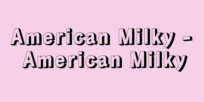 American Milky - American Milky
