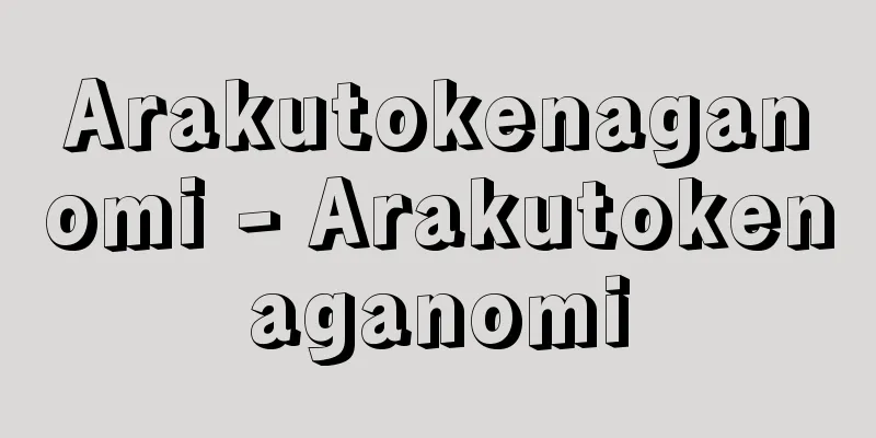 Arakutokenaganomi - Arakutokenaganomi