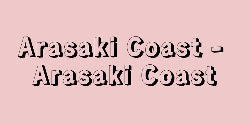 Arasaki Coast - Arasaki Coast