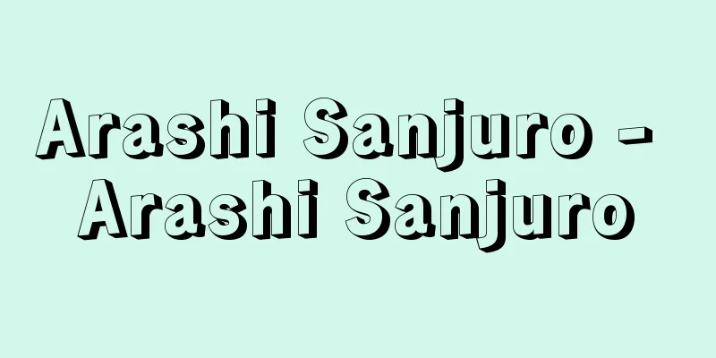 Arashi Sanjuro - Arashi Sanjuro