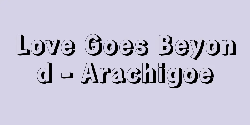 Love Goes Beyond - Arachigoe