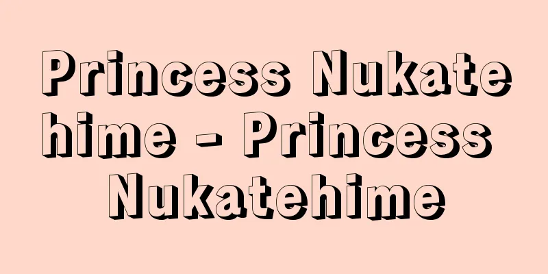 Princess Nukatehime - Princess Nukatehime