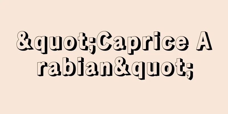 "Caprice Arabian"