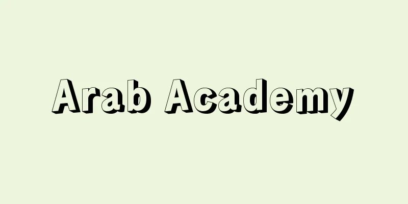 Arab Academy