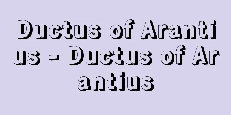 Ductus of Arantius - Ductus of Arantius