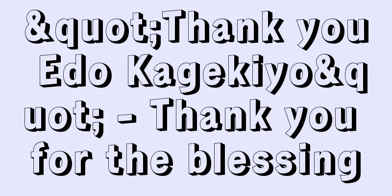 "Thank you Edo Kagekiyo" - Thank you for the blessing