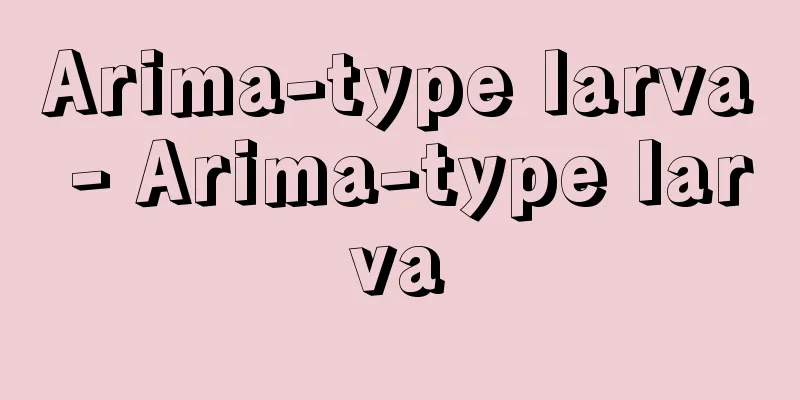 Arima-type larva - Arima-type larva
