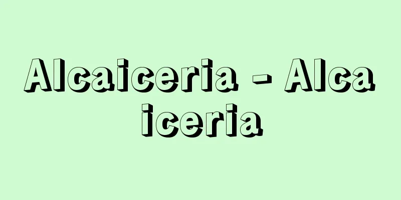Alcaiceria - Alcaiceria