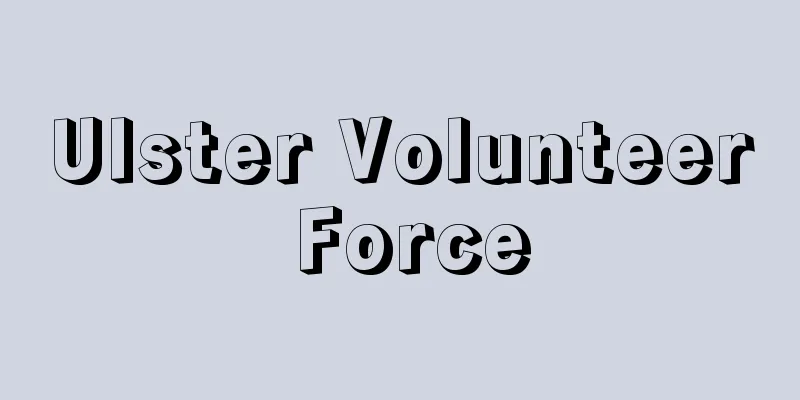 Ulster Volunteer Force