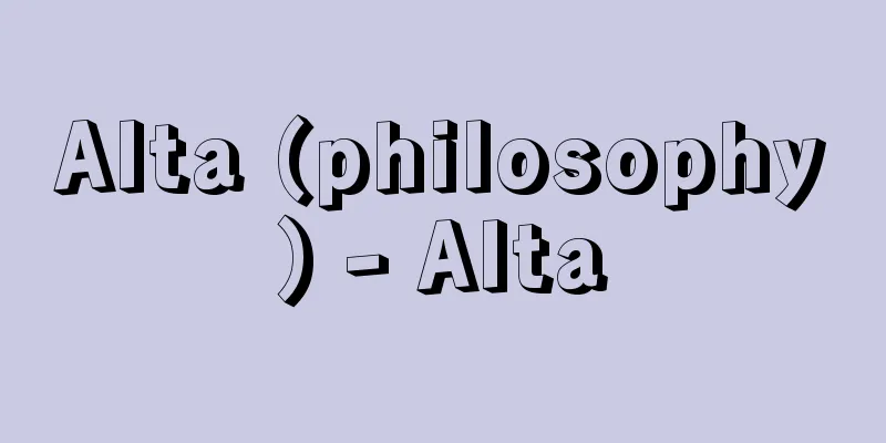 Alta (philosophy) - Alta