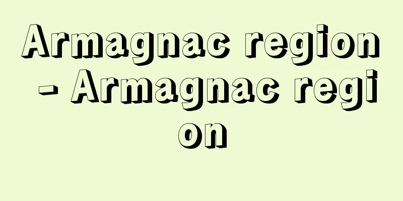 Armagnac region - Armagnac region