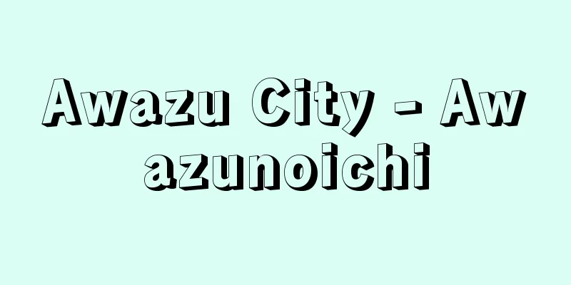 Awazu City - Awazunoichi