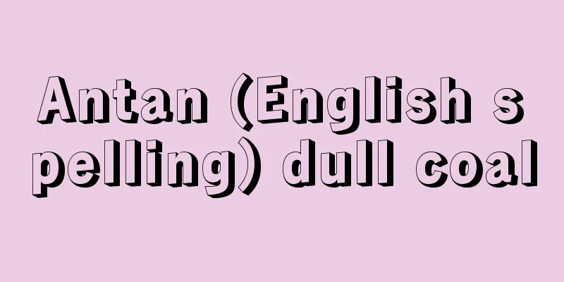 Antan (English spelling) dull coal