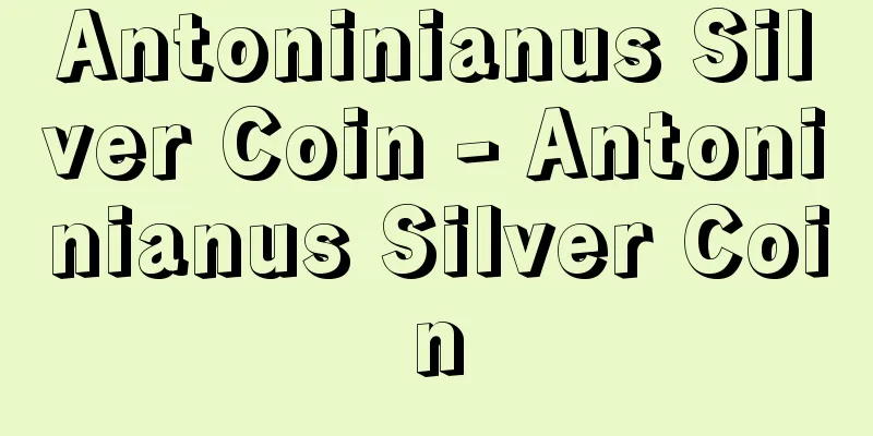 Antoninianus Silver Coin - Antoninianus Silver Coin