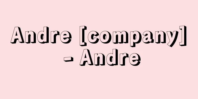 Andre [company] - Andre