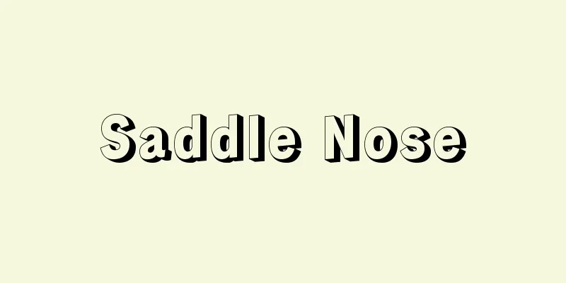Saddle Nose