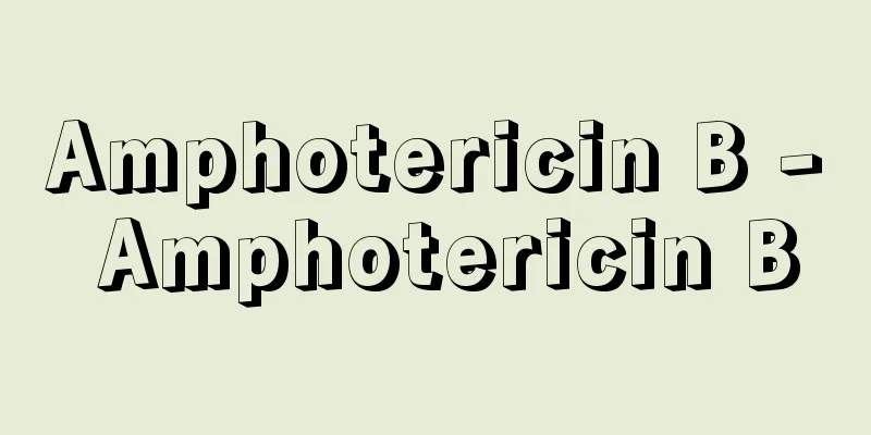 Amphotericin B - Amphotericin B