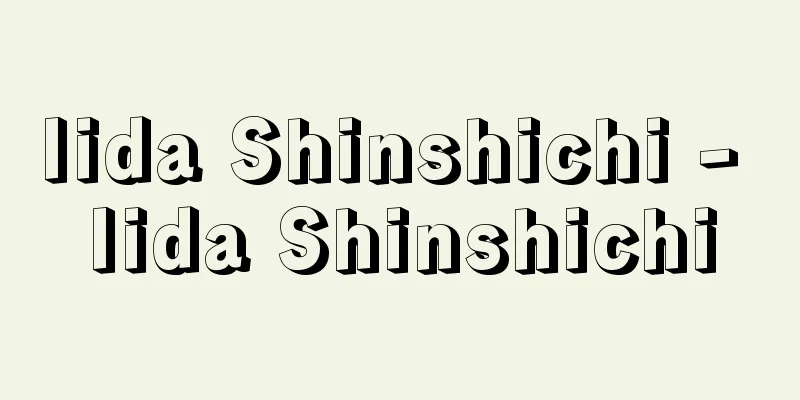 Iida Shinshichi - Iida Shinshichi