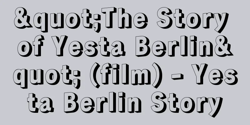 "The Story of Yesta Berlin" (film) - Yesta Berlin Story