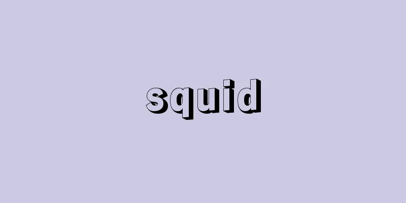 squid